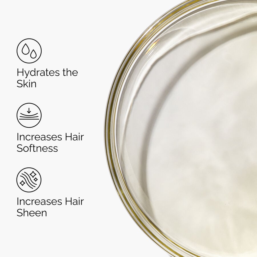 100-organic-cold-pressed-moroccan-argan-oil-b3 FY25-D41247-ORD-Web-PDP-100-Argan-Oil-1x1-EN-3.jpg
