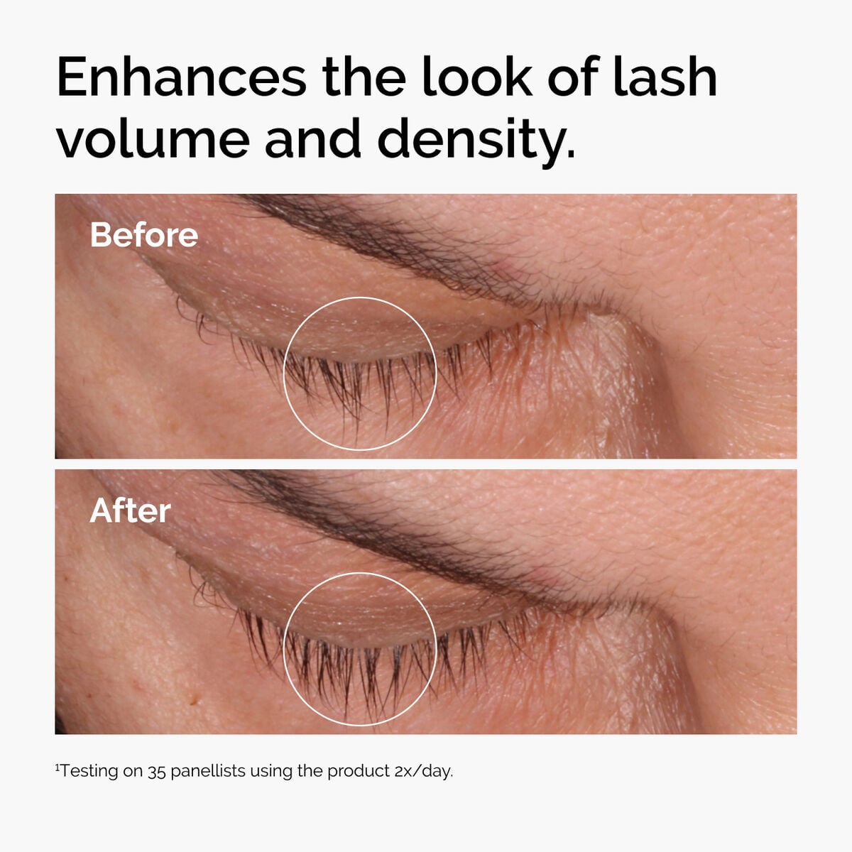 multi-peptide-lash-and-brow-serum-i3 ord-multi-peptide-lash-brow-before-afters-lash-density-graphic.jpg