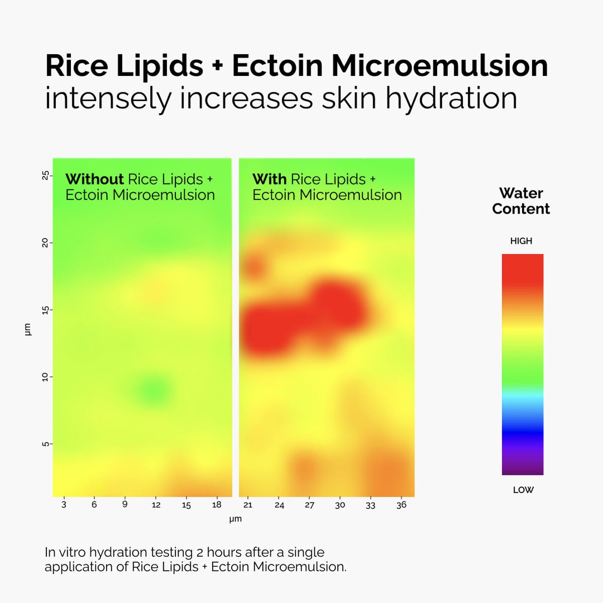 rice-lipids-ectoin-microemulsion-s3 ord-rice-lipids-ectoin-microemulsion-thermal-before-after.jpg